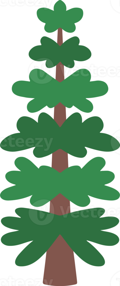 Natale acquerello abete albero png