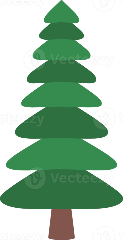 Spruce Tree Watercolor png