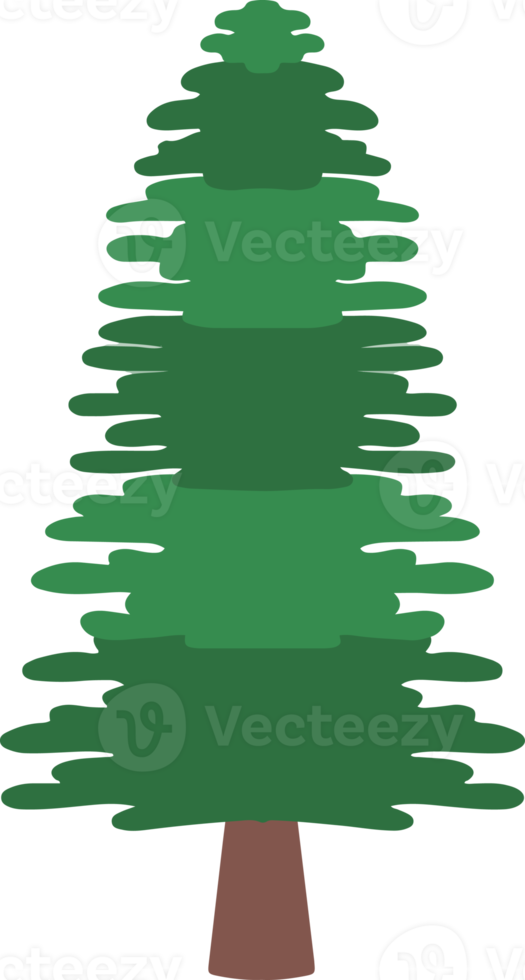 Spruce Tree Watercolor png