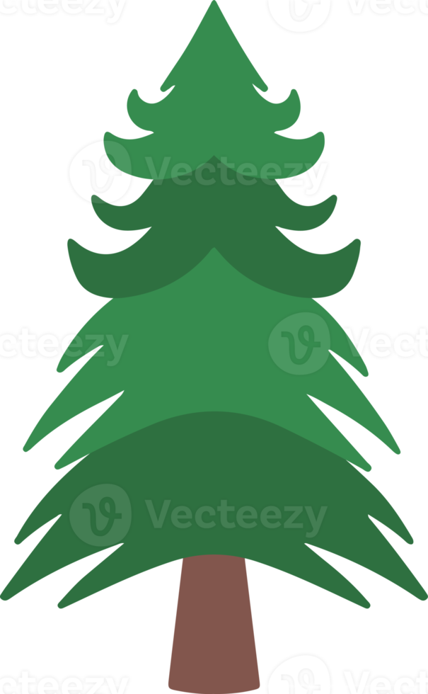 Watercolor Spruce Tree png