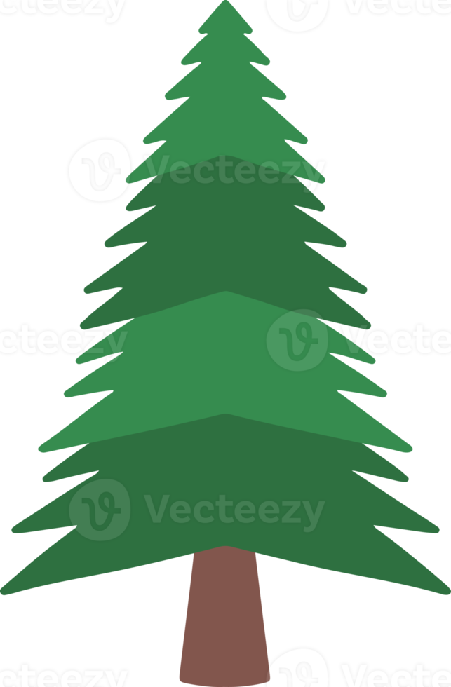 Natale acquerello abete albero png