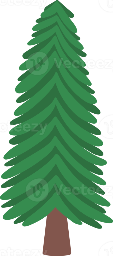 Natale acquerello abete albero png