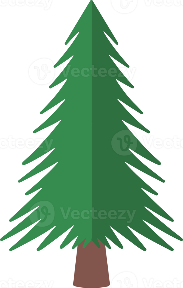 imágenes prediseñadas de acuarela de árbol de pino png