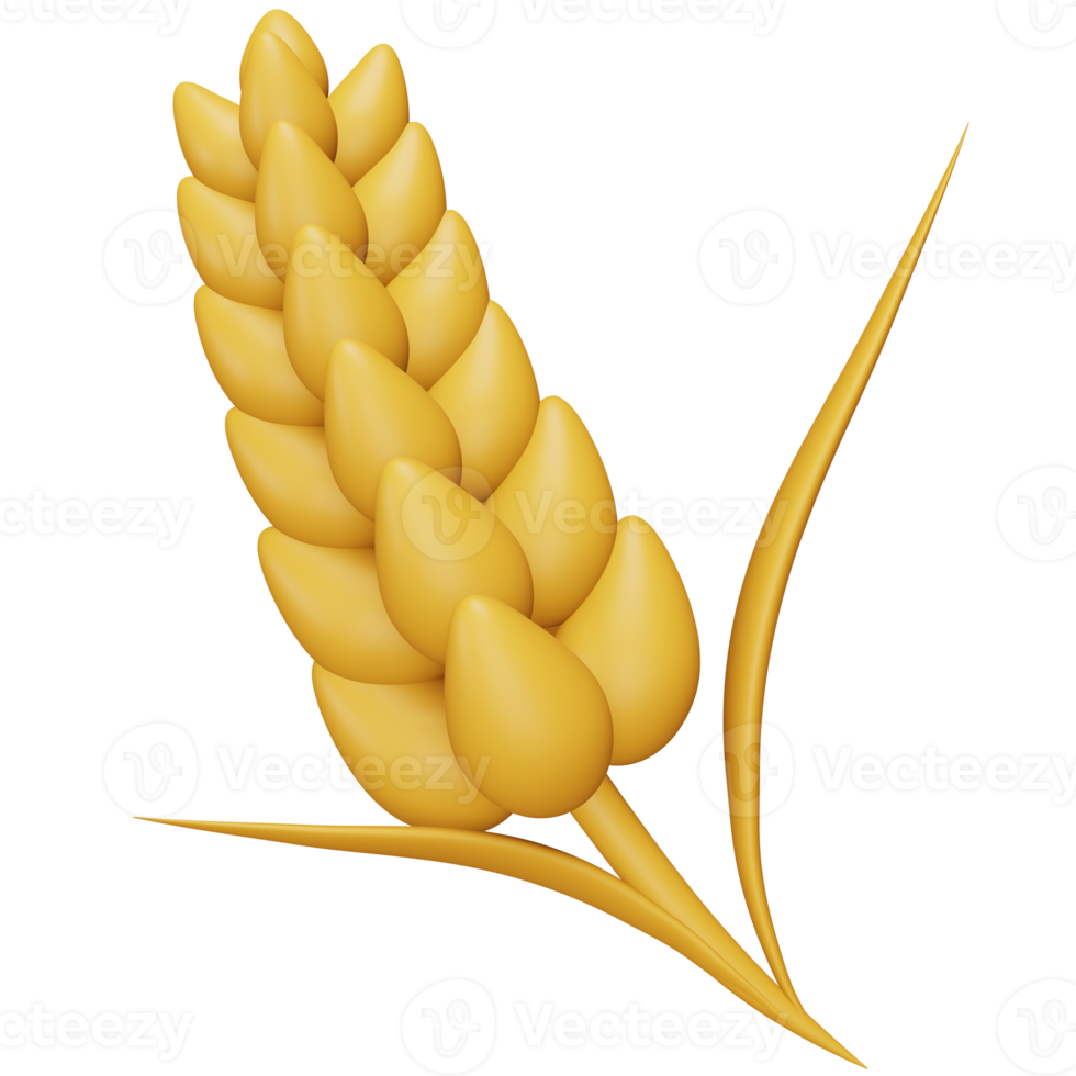 Wheat 3d rendering isometric icon. png