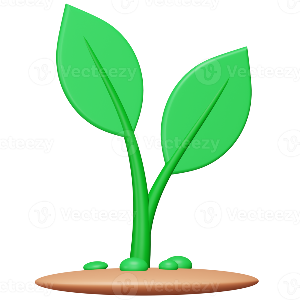 Pflanze 3D-Rendering isometrisches Symbol. png