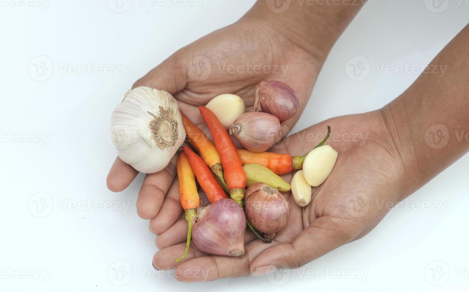 kitchen spices, chilies, onions and garlic are in hand photo