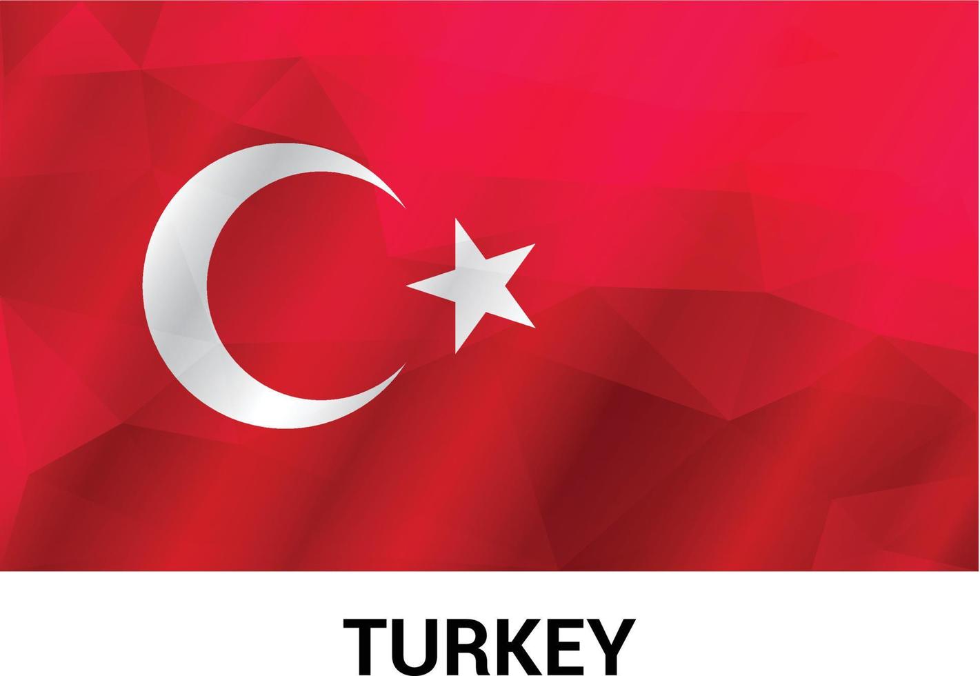 Turkey Independence day design card vector
