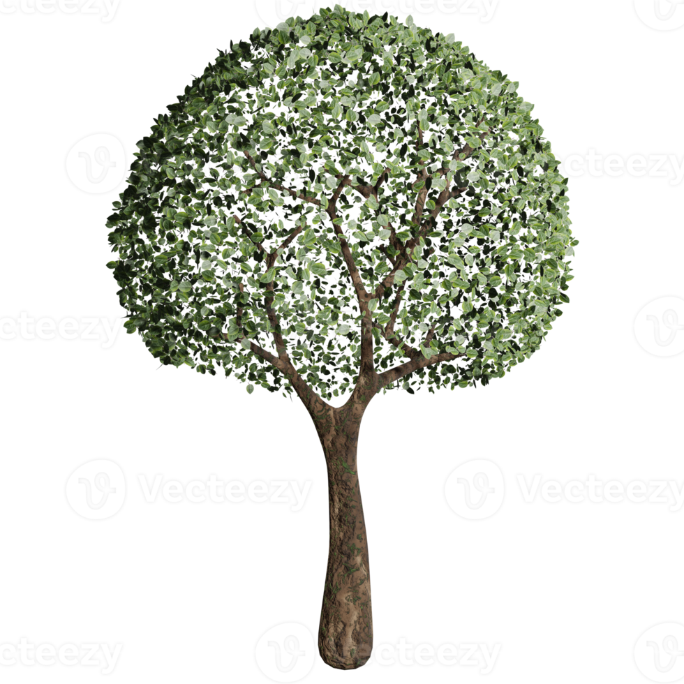 big tree, spring state, 3d design png