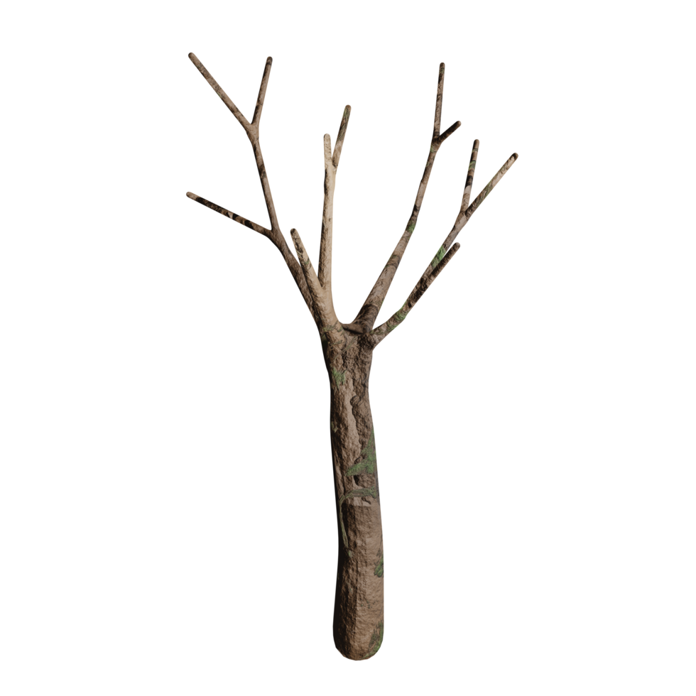 3d design, white bush, dry state png