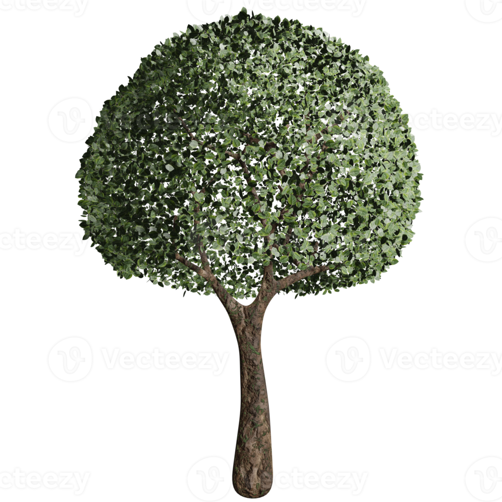big tree, fertile state, 3d design png
