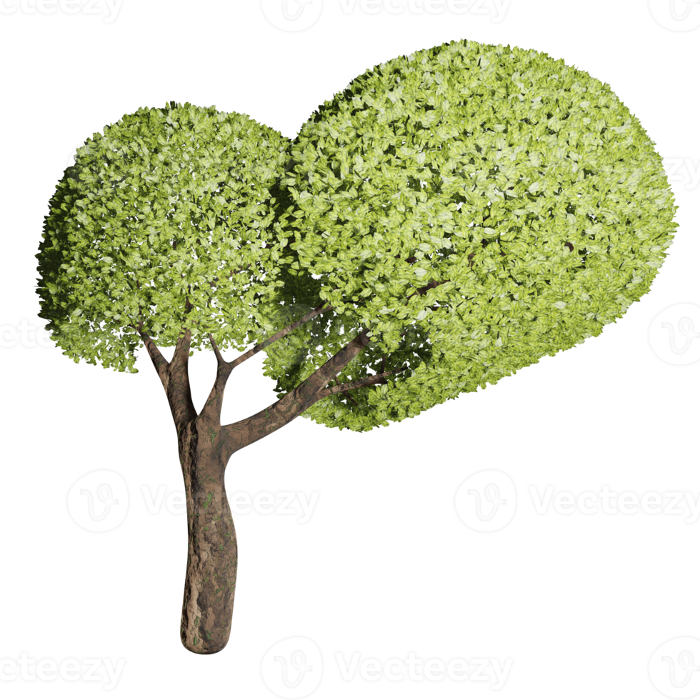 big tree, fertile state, 3d design png