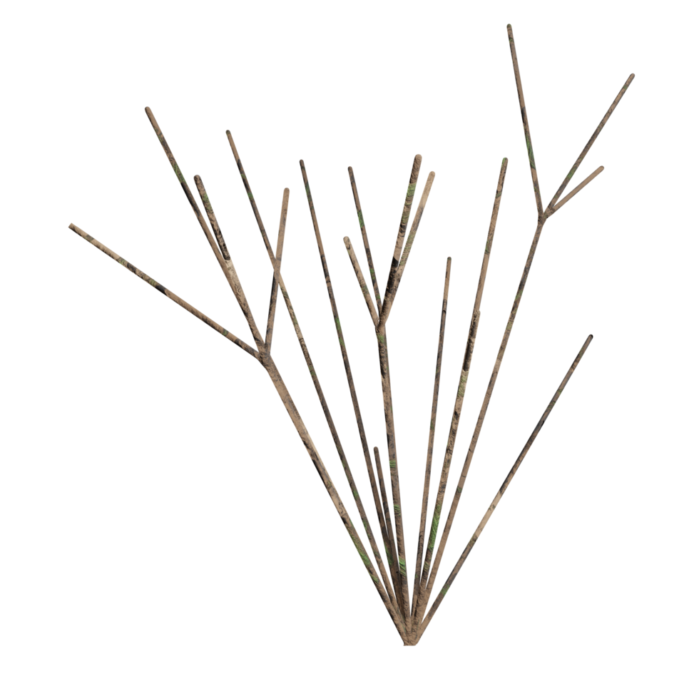 3d design, white bush, dry state png