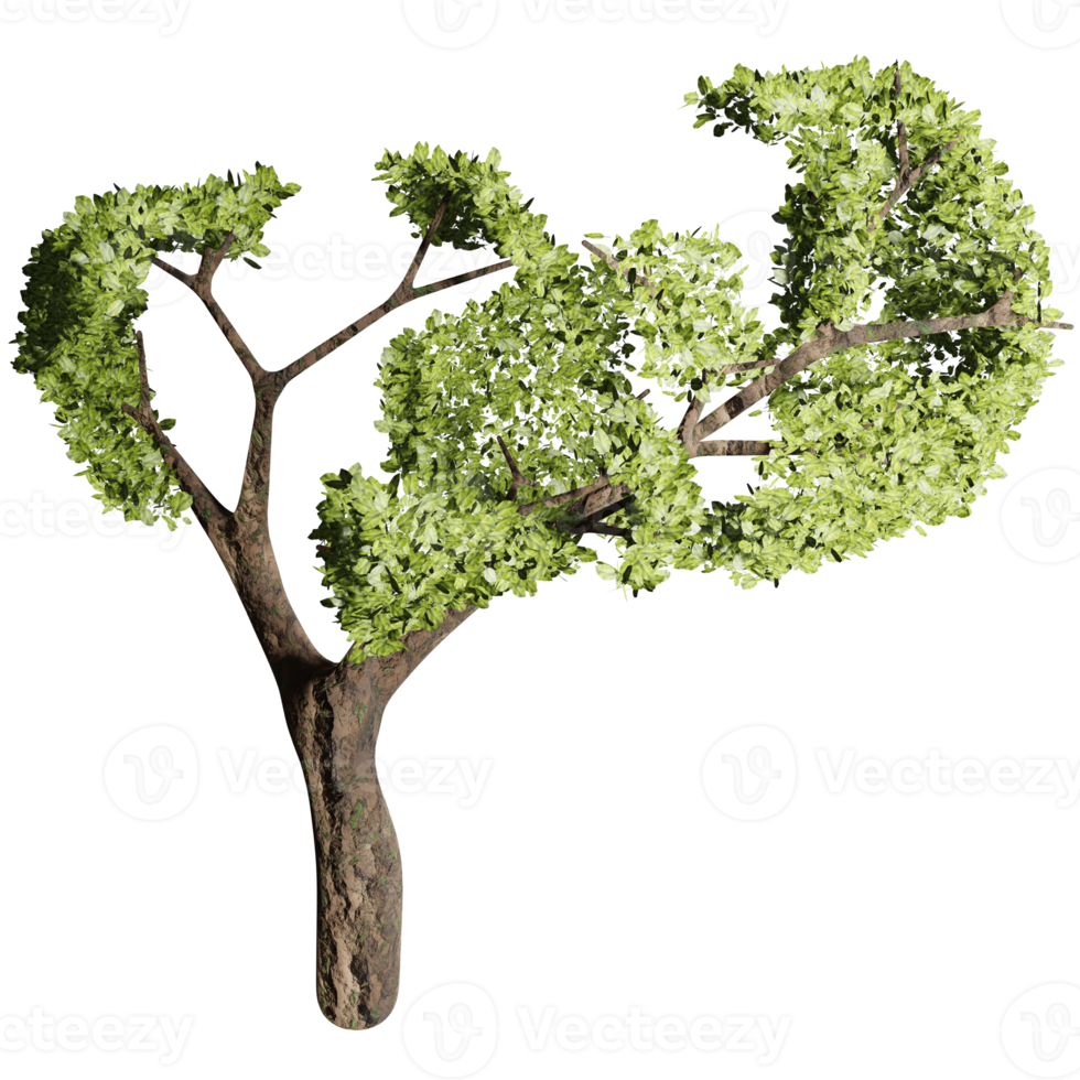 big tree in autumn, 3d design png