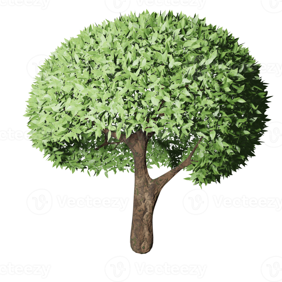 grand arbre, état fertile, conception 3d png