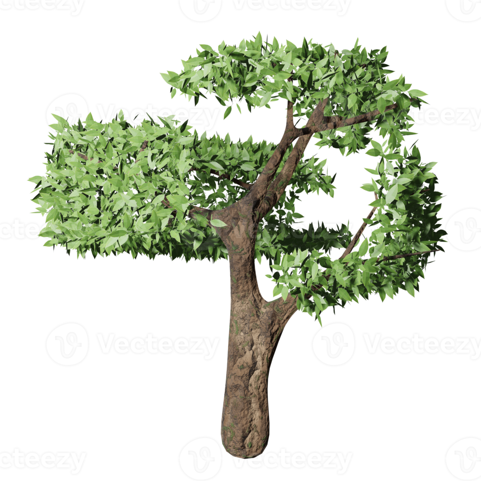 grande albero nel autunno, 3d design png