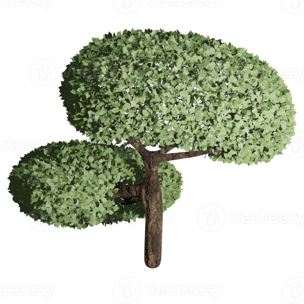 big tree, fertile state, 3d design png