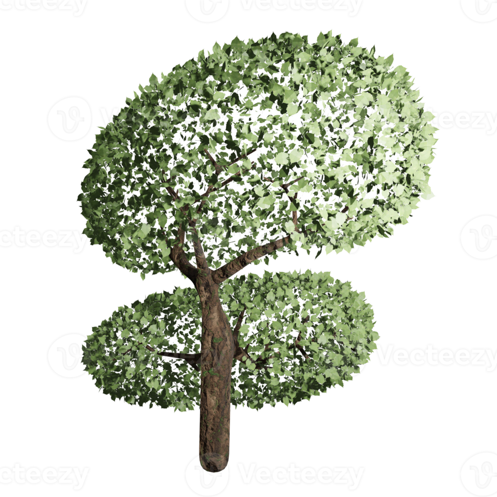 big tree, spring state, 3d design png