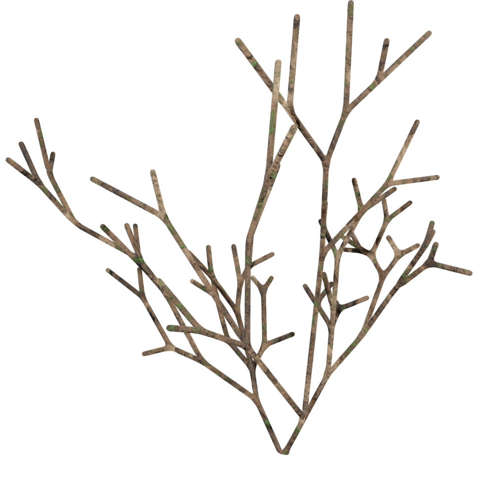 3d design, white bush, dry state png