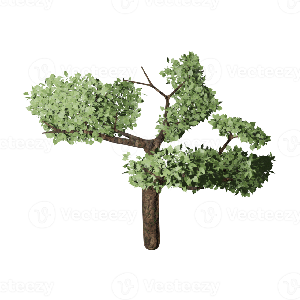 grande albero nel autunno, 3d design png