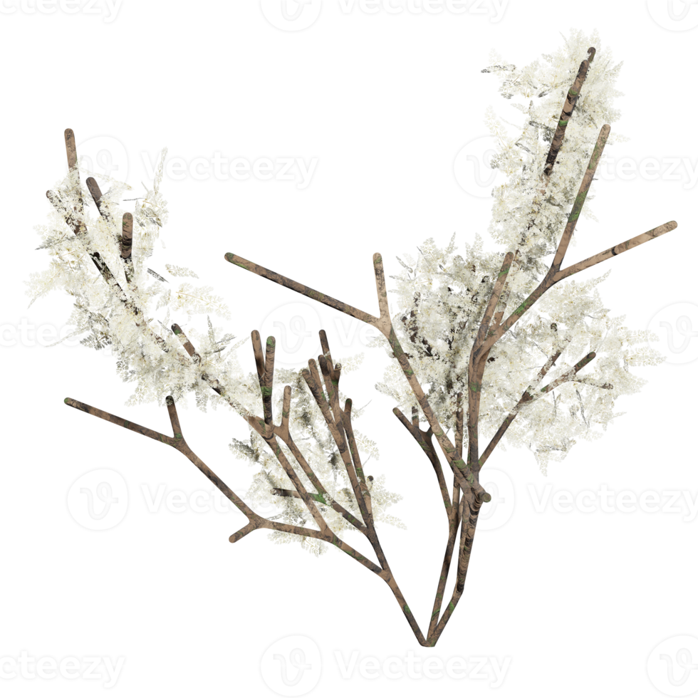 3d design, white bush, autumn png
