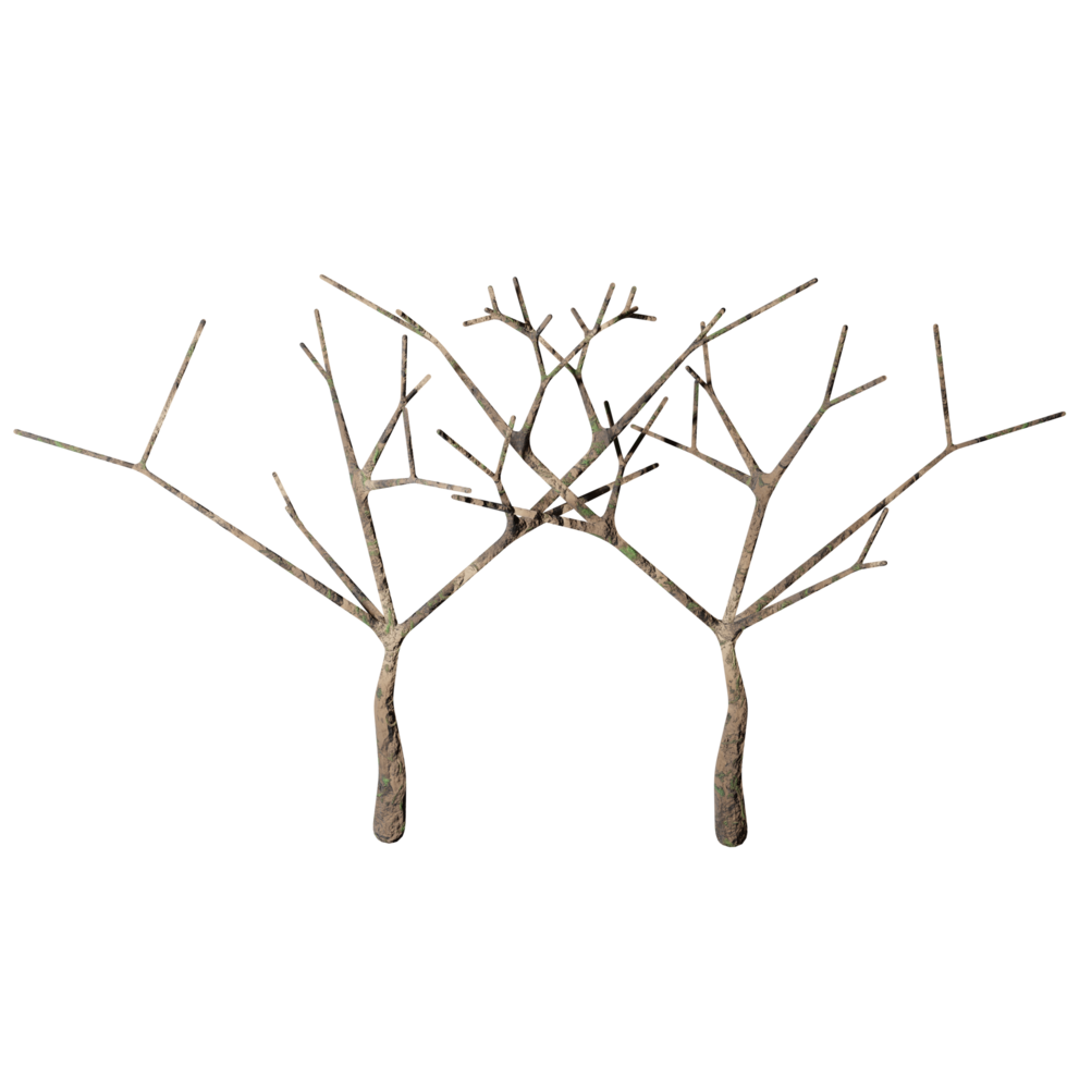 3d design, white bush, dry state png