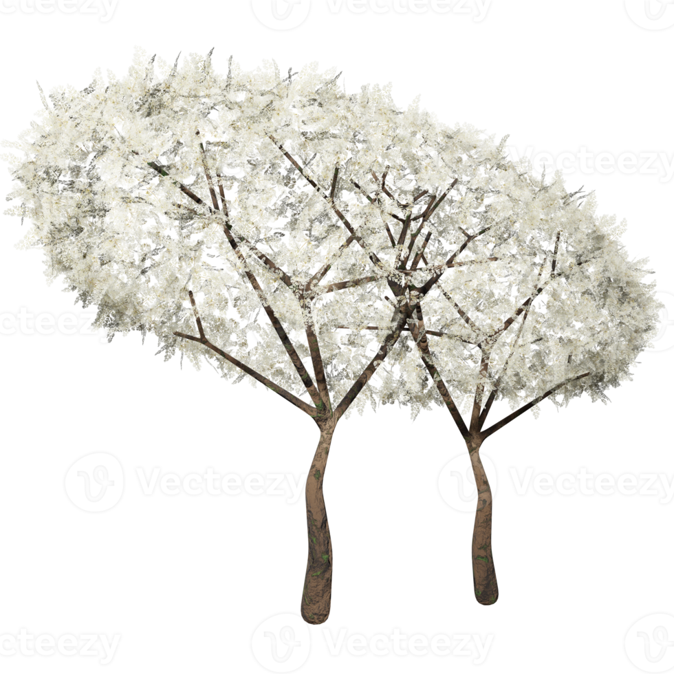 3d design, white bush, spring state png