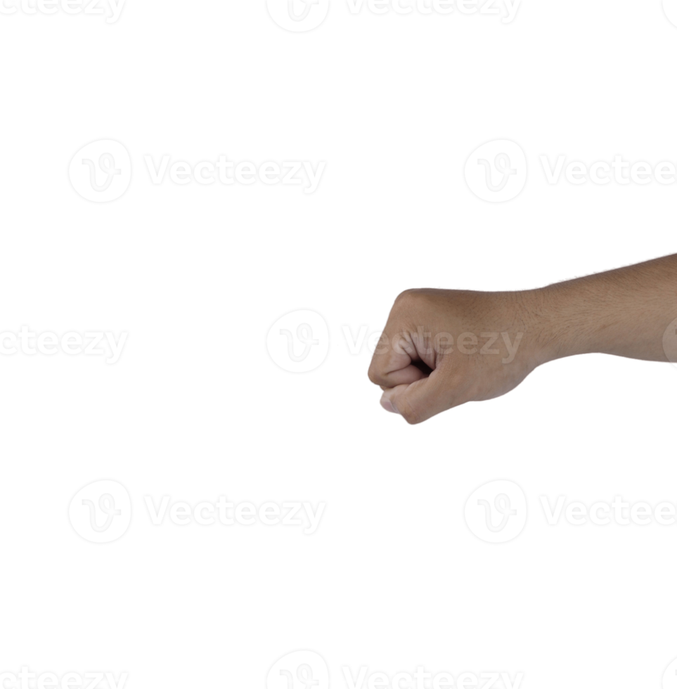 fist symbol. hand fist png