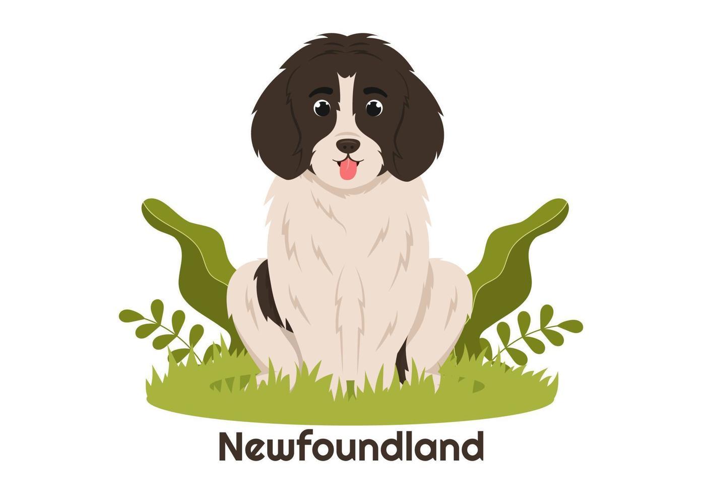 Newfoundland Dog Animals with Black, Brown or Landseer Color in Flat Style Cute Cartoon Template Hand Drawn Illustration vector