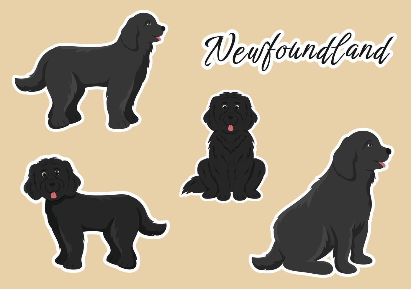Newfoundland Dog Animals with Black, Brown or Landseer Color in Flat Style Cute Cartoon Template Hand Drawn Illustration vector