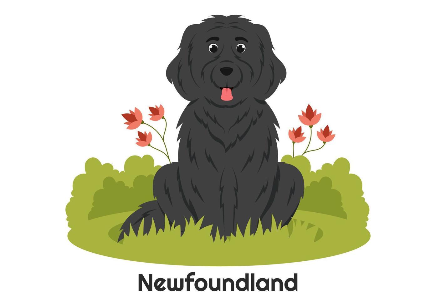 Newfoundland Dog Animals with Black, Brown or Landseer Color in Flat Style Cute Cartoon Template Hand Drawn Illustration vector