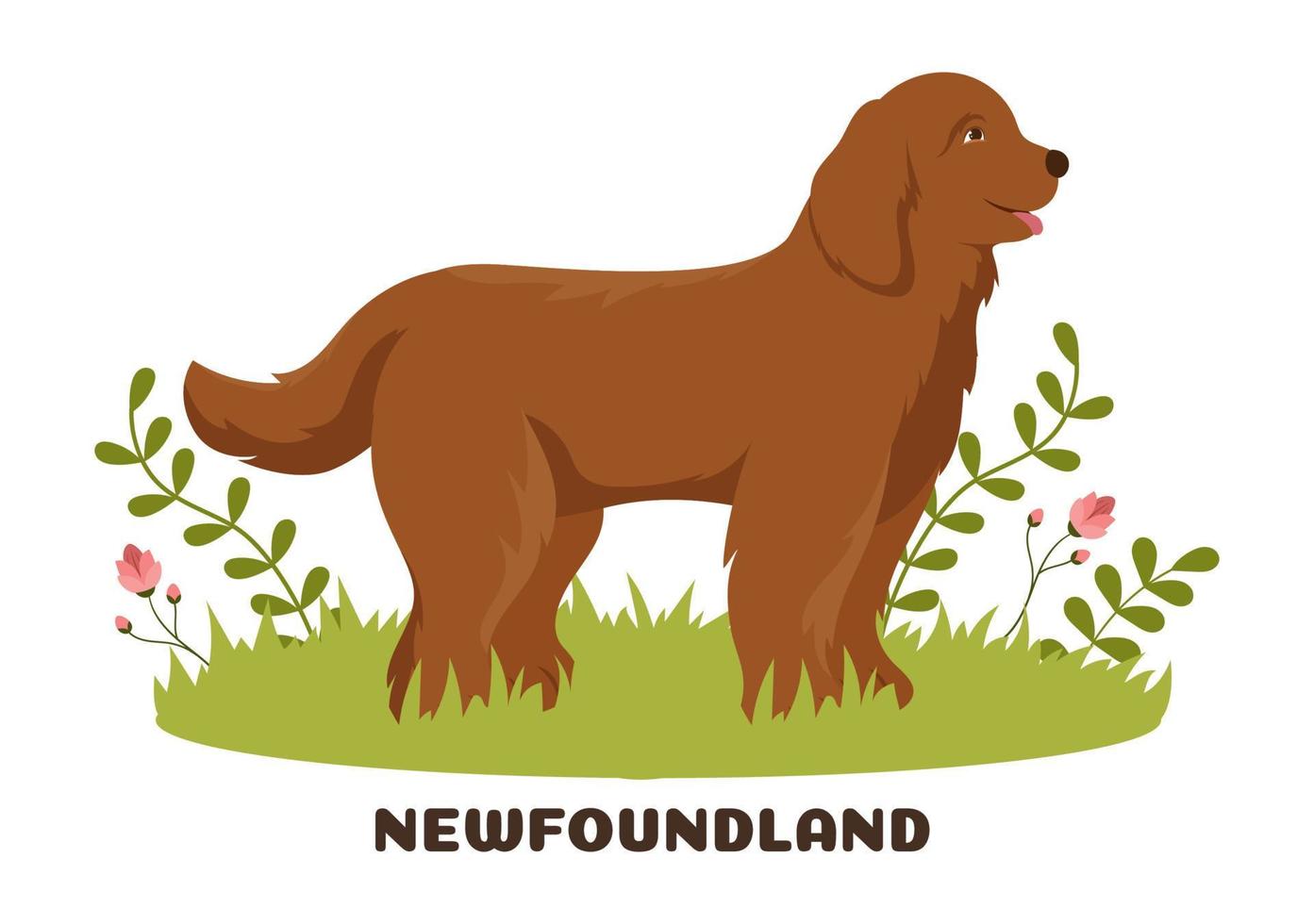 Newfoundland Dog Animals with Black, Brown or Landseer Color in Flat Style Cute Cartoon Template Hand Drawn Illustration vector