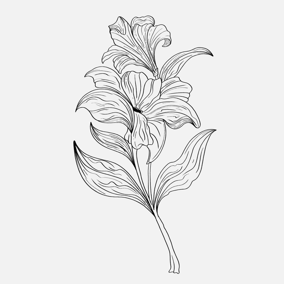 Dibujos Para Colorear De Hermosas Flores De Lirio Imprimibles. lirios de contorno. página en blanco y negro para colorear libro. colorante antiestrés. flores de arte lineal vector