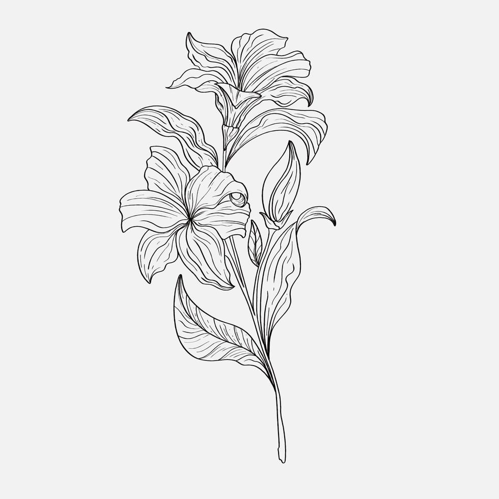 coloring pages of beautiful lily flowers printables. Outline Lilies . Black and white page for coloring book. Anti-stress coloring. Line art flowers vector