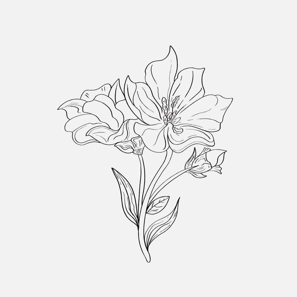 coloring pages of beautiful lily flowers printables. Outline Lilies . Black and white page for coloring book. Anti-stress coloring. Line art flowers vector