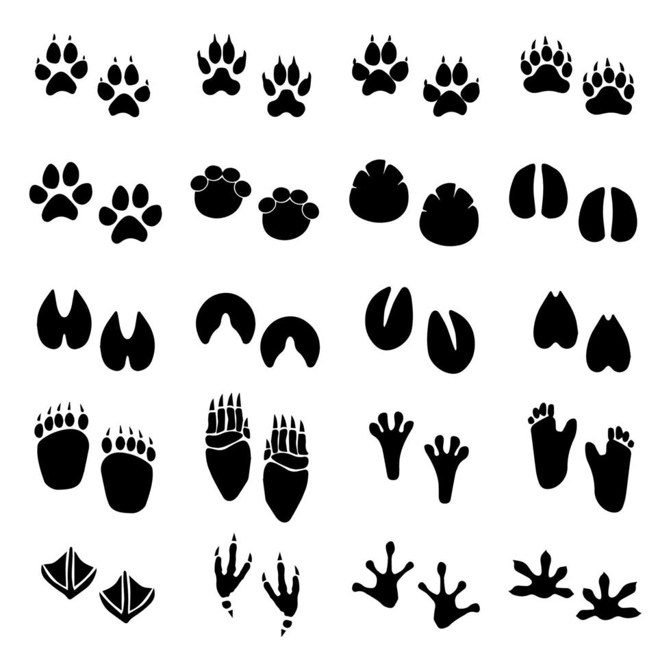 Set of black animal paws print isolated on white background. Vector stock illustration