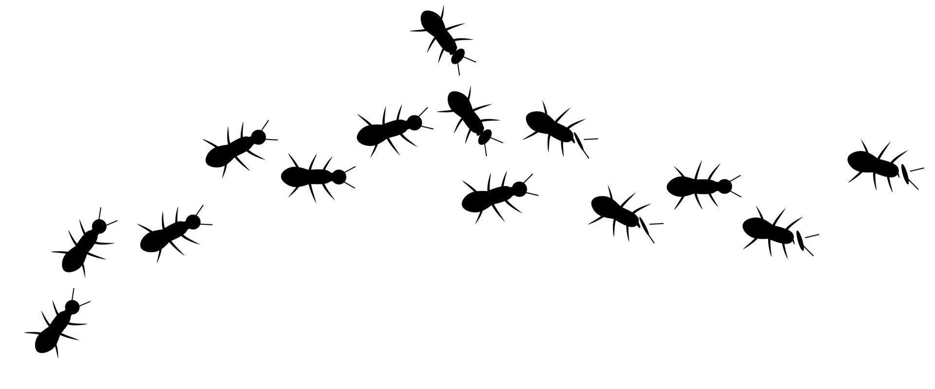ilustración vectorial de una línea de hormigas negras en busca de comida vector
