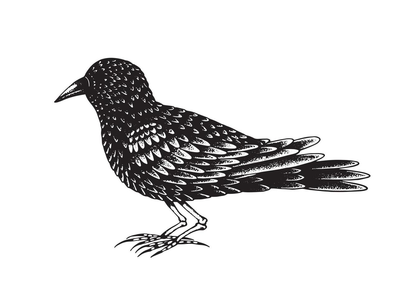 Black bird with legs made of bones vector
