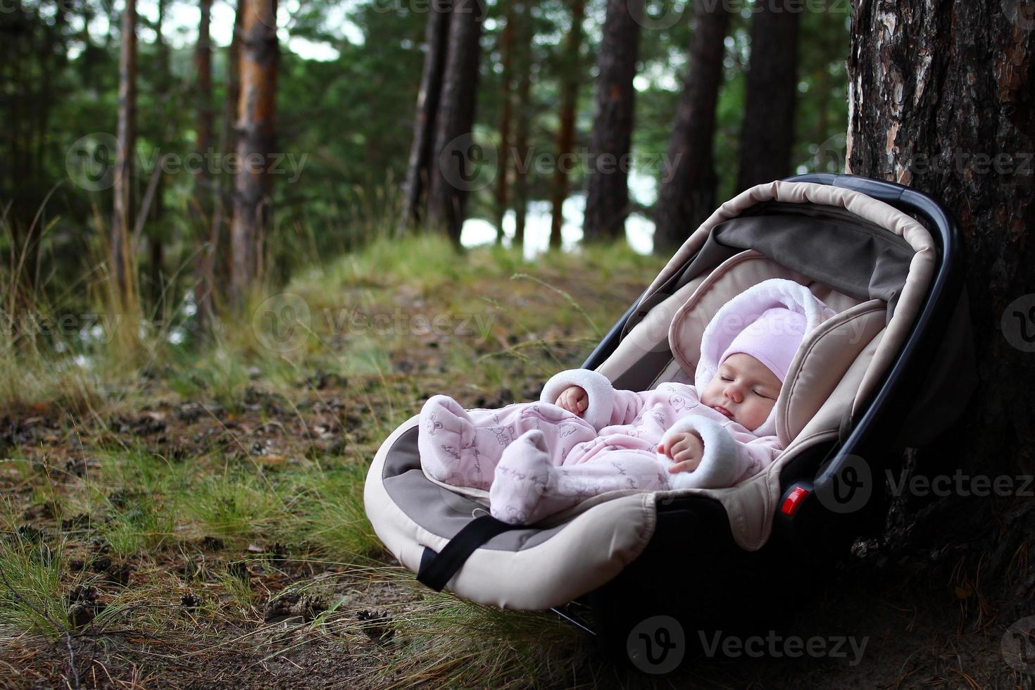 Cute three month child is sleeping in car seat near a tree in a forest. photo