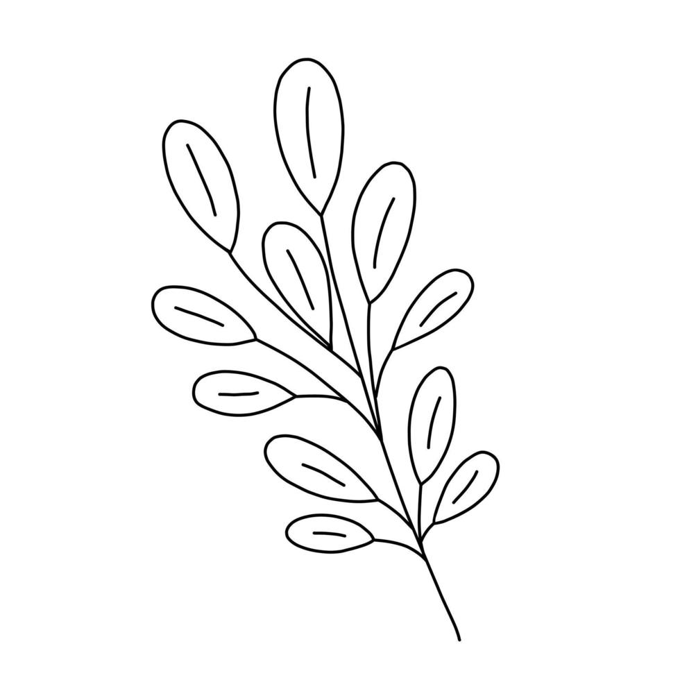 Outline plant decorative branch with leaves and berries for home decor, Christmas, New Year festive holiday arrangement, vector illustration for seasonal greeting card, invitation, banner