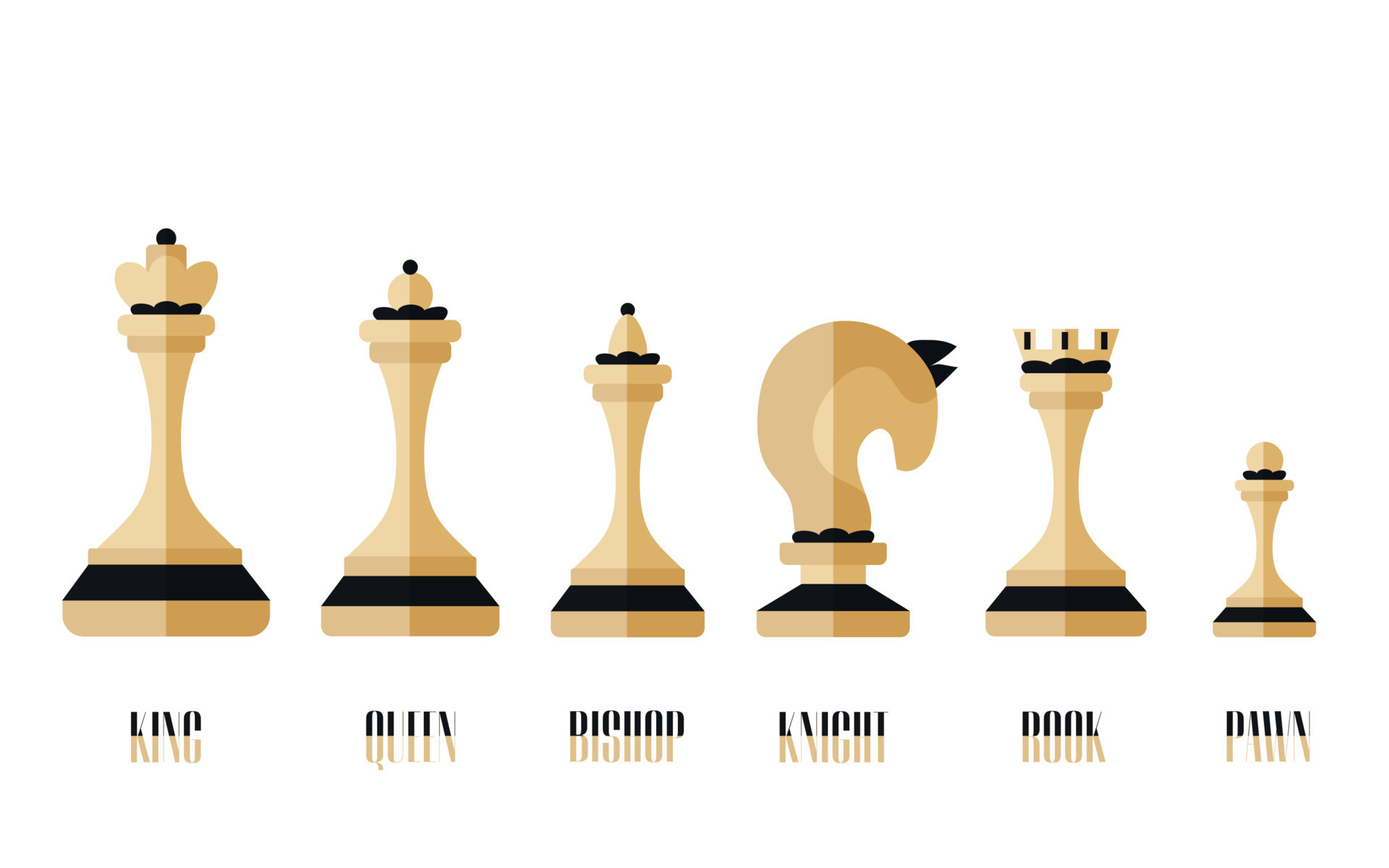 el icono del ajedrez incluía rey, reina, obispo, caballero, torre, peón.  colección de ajedrez blanco y negro con nombre de texto. juego de ajedrez  de siluetas sobre fondo blanco. ilustración vectorial plana.