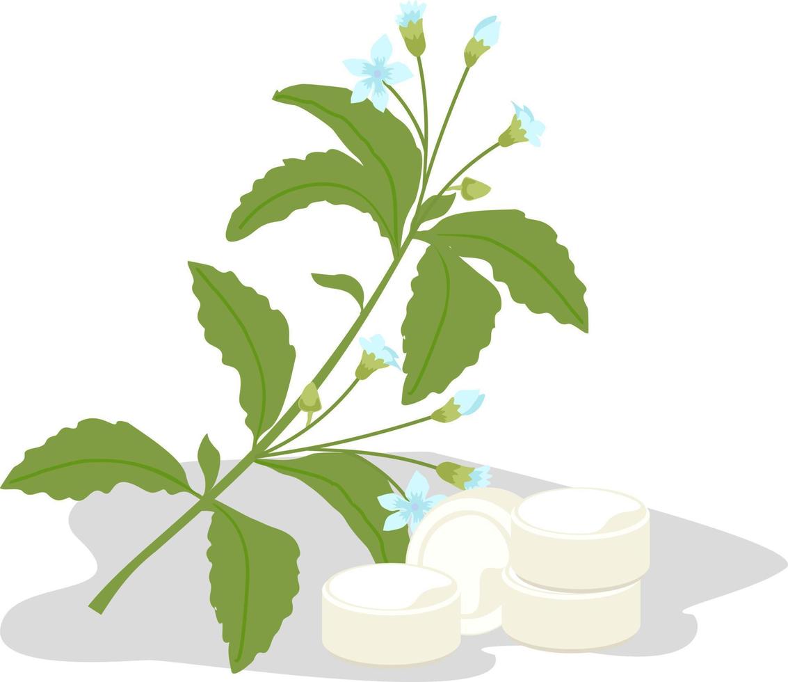 sustituto del azúcar edulcorante de stevia. planta alternativa al azúcar saludable vector