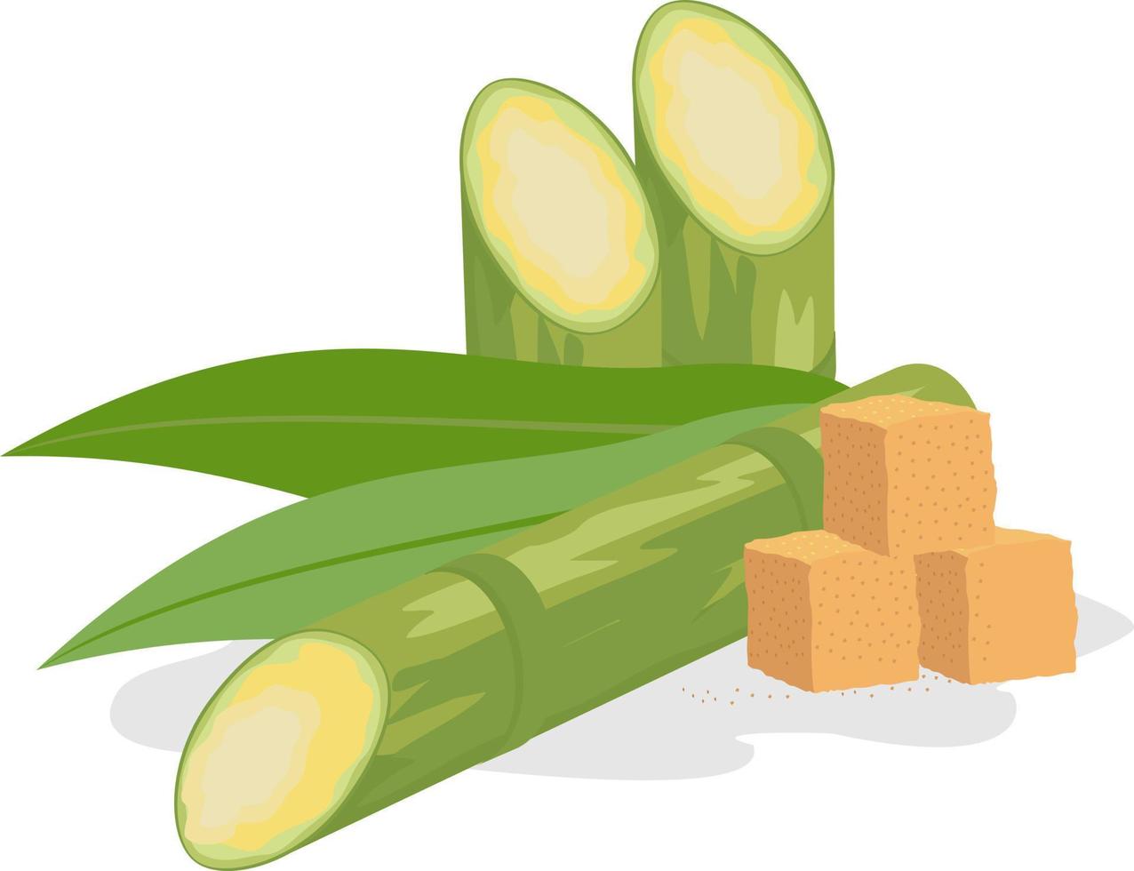 Sugar cane and brown sugar. Sugarcane superfood vector