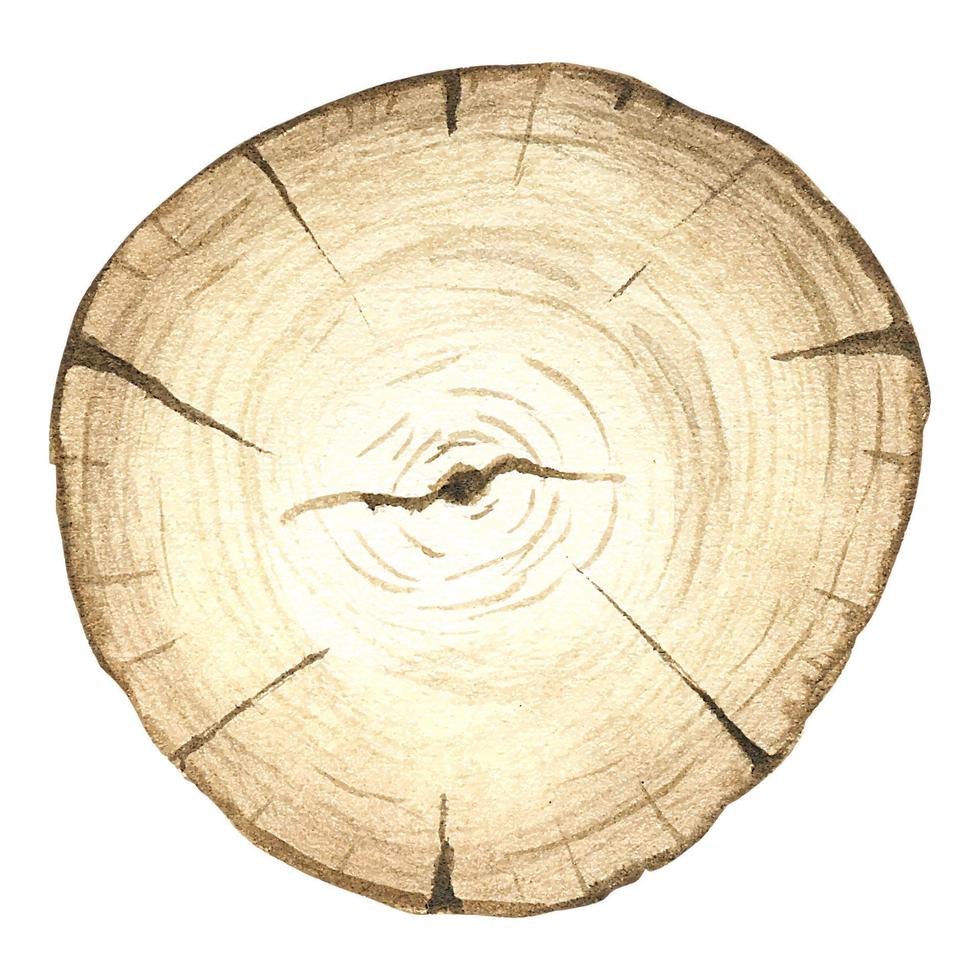 ilustración acuarela de un árbol aserrado de forma redondeada. imagen de los anillos de los árboles. un árbol en una sección transversal. textura de madera vector