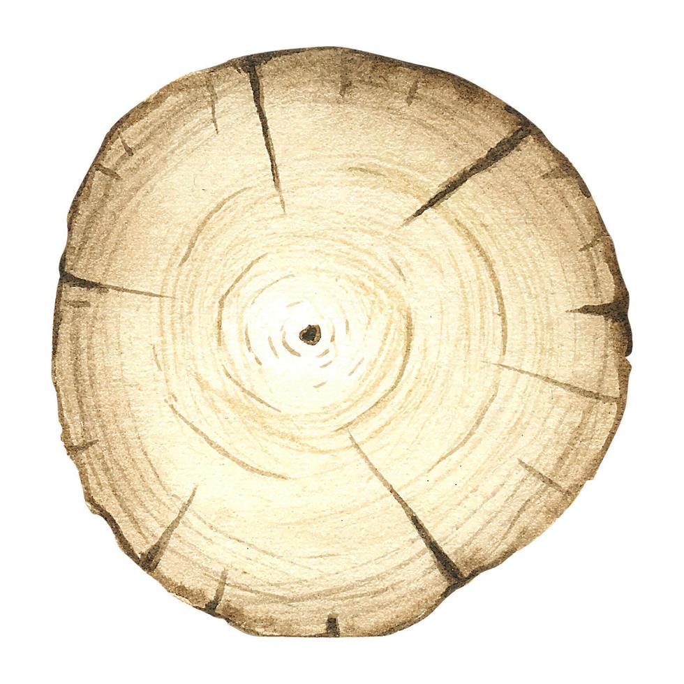 watercolor illustration of a sawn tree of rounded shape. image of tree rings. A tree in a cross section. Wood texture vector