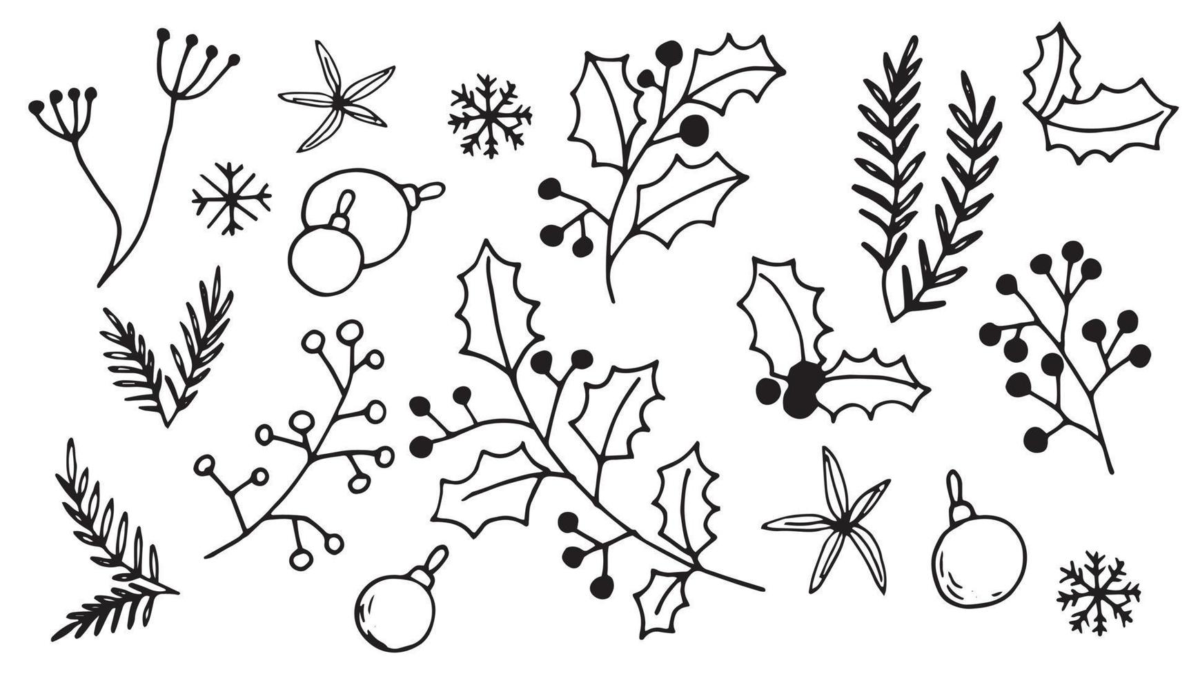 vector drawing in doodle style. set of christmas plants. holly, spruce branches, winter berries