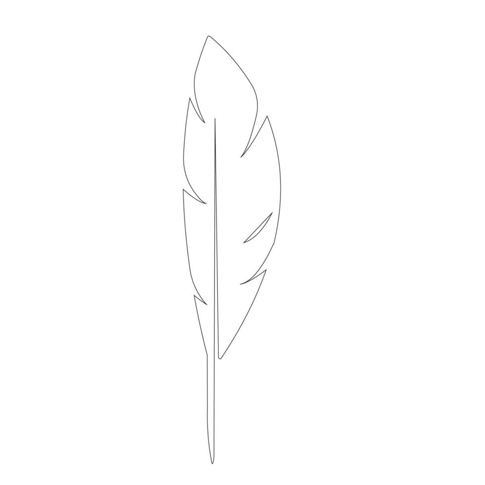 vector logo de pluma