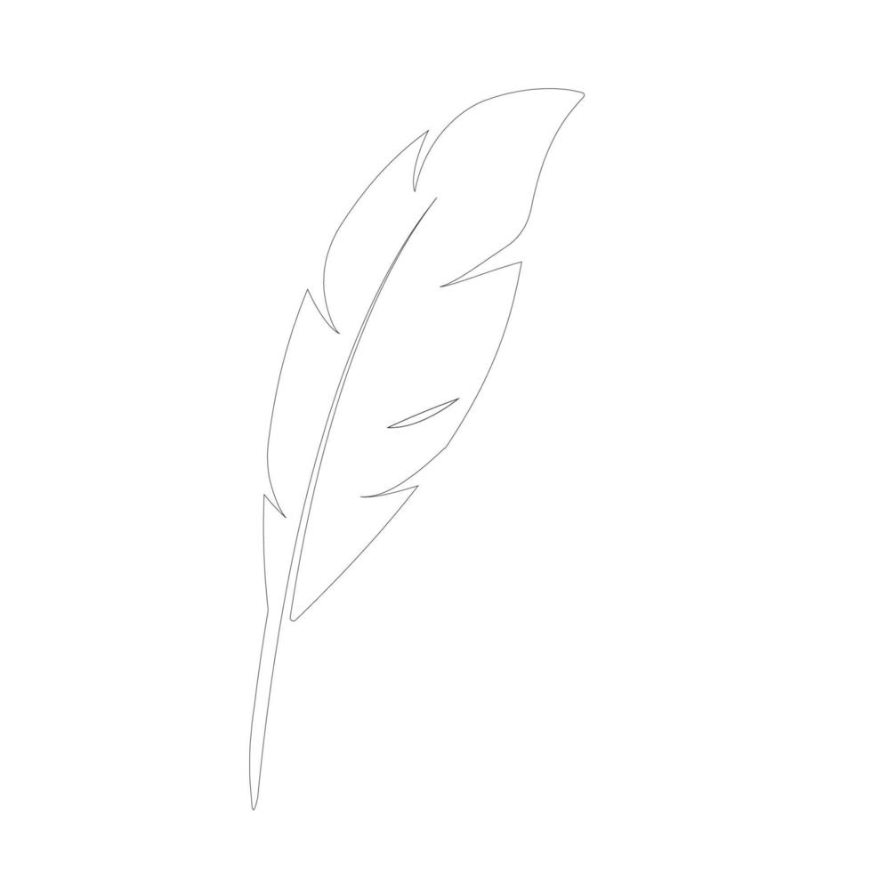 Feather logo vector