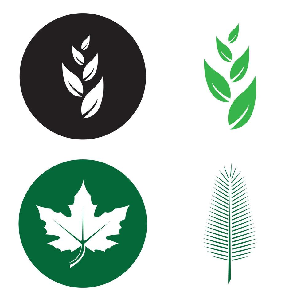 Eco Tree Leaf Logo Template vector
