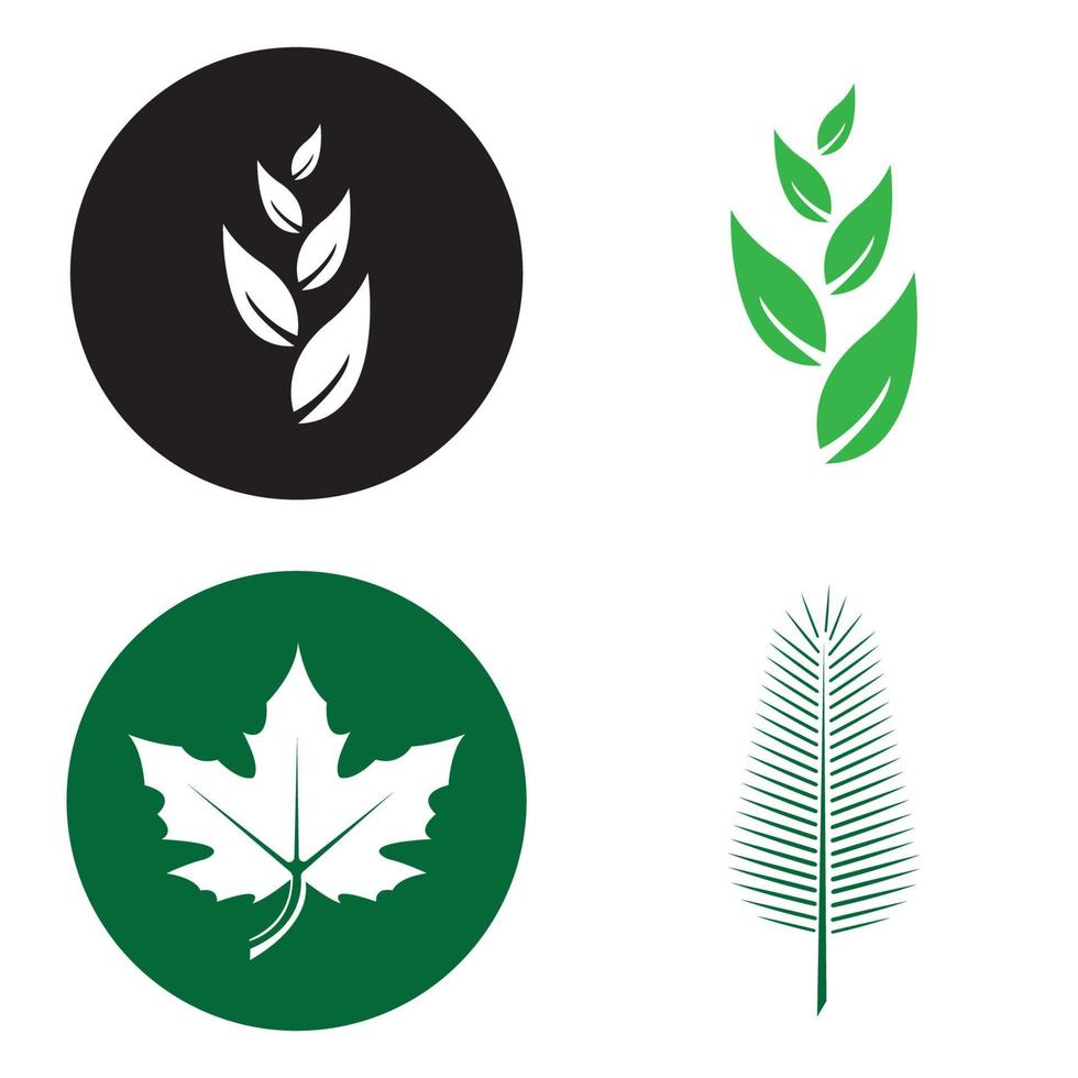 plantilla de logotipo de hoja de árbol ecológico vector