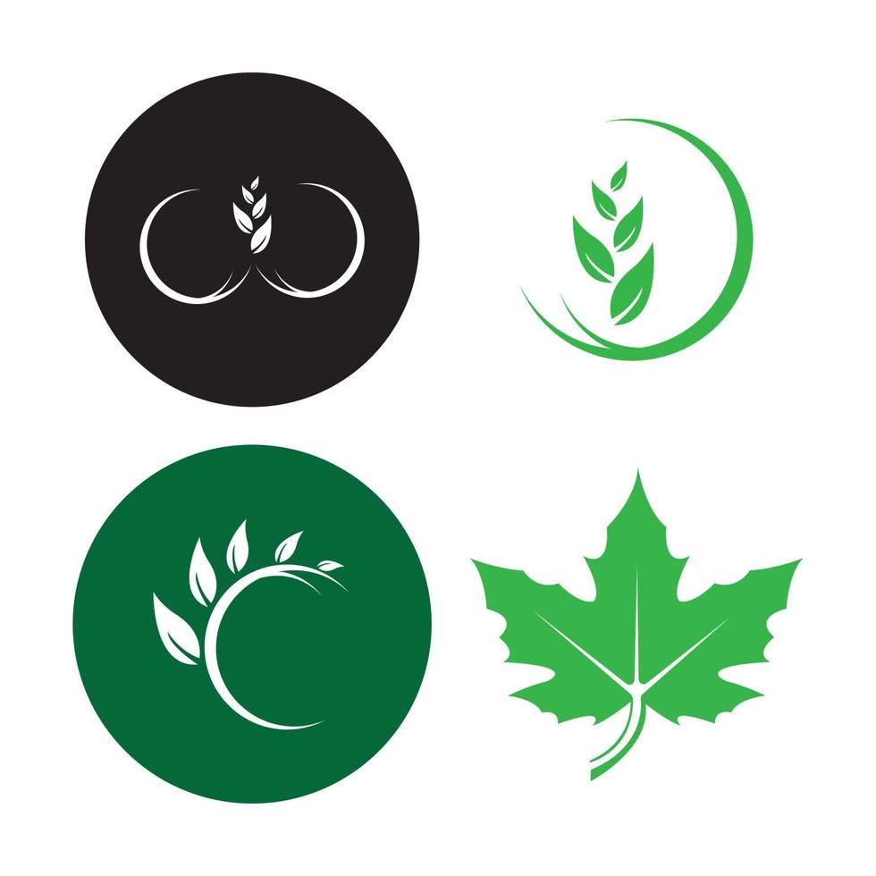 Eco Tree Leaf Logo Template vector